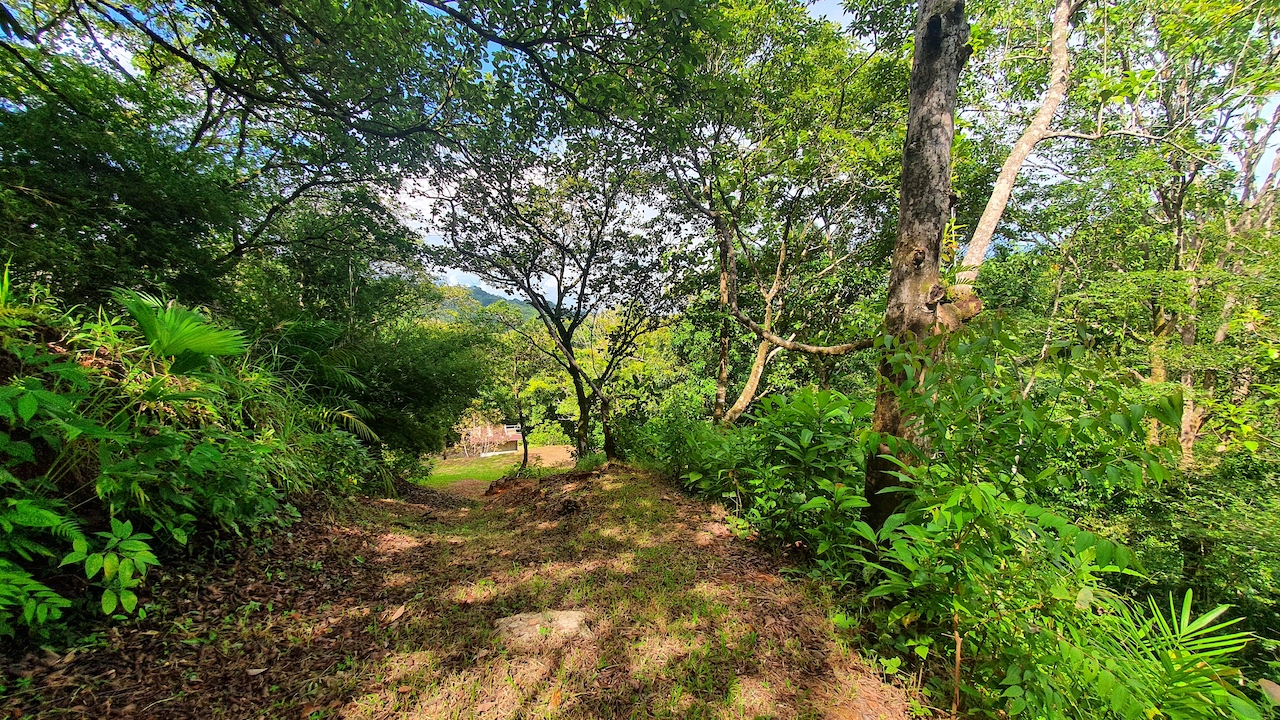 0 bed Land For Sale in Dominical, Puntarenas - thumb 9