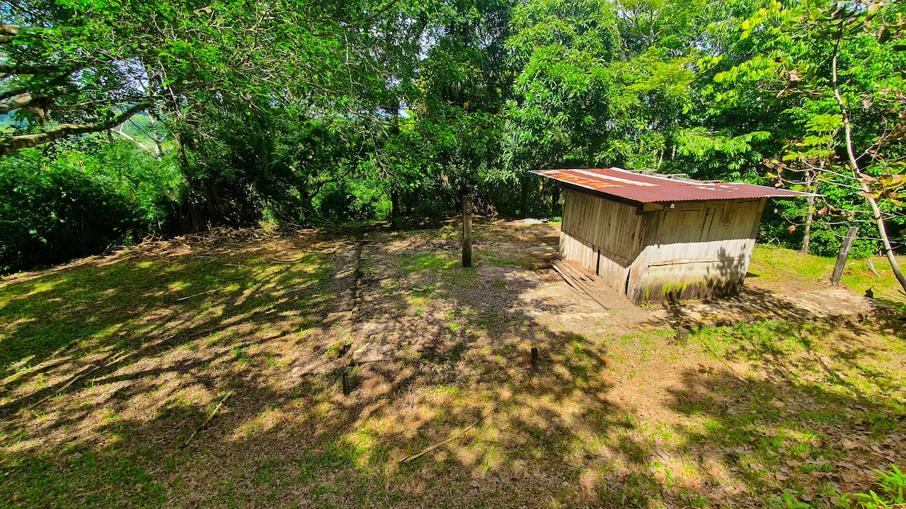 0 bed Land For Sale in Dominical, Puntarenas - thumb 11