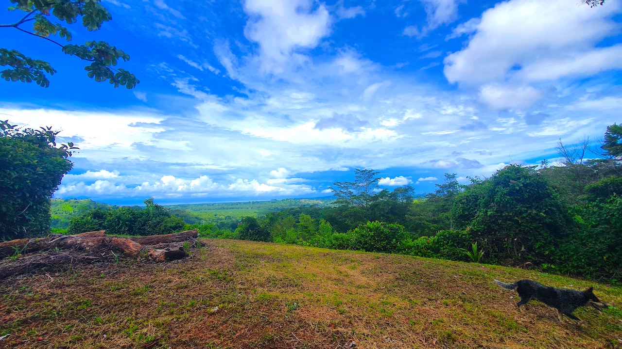0 bed Land For Sale in Dominical, Puntarenas - thumb 16