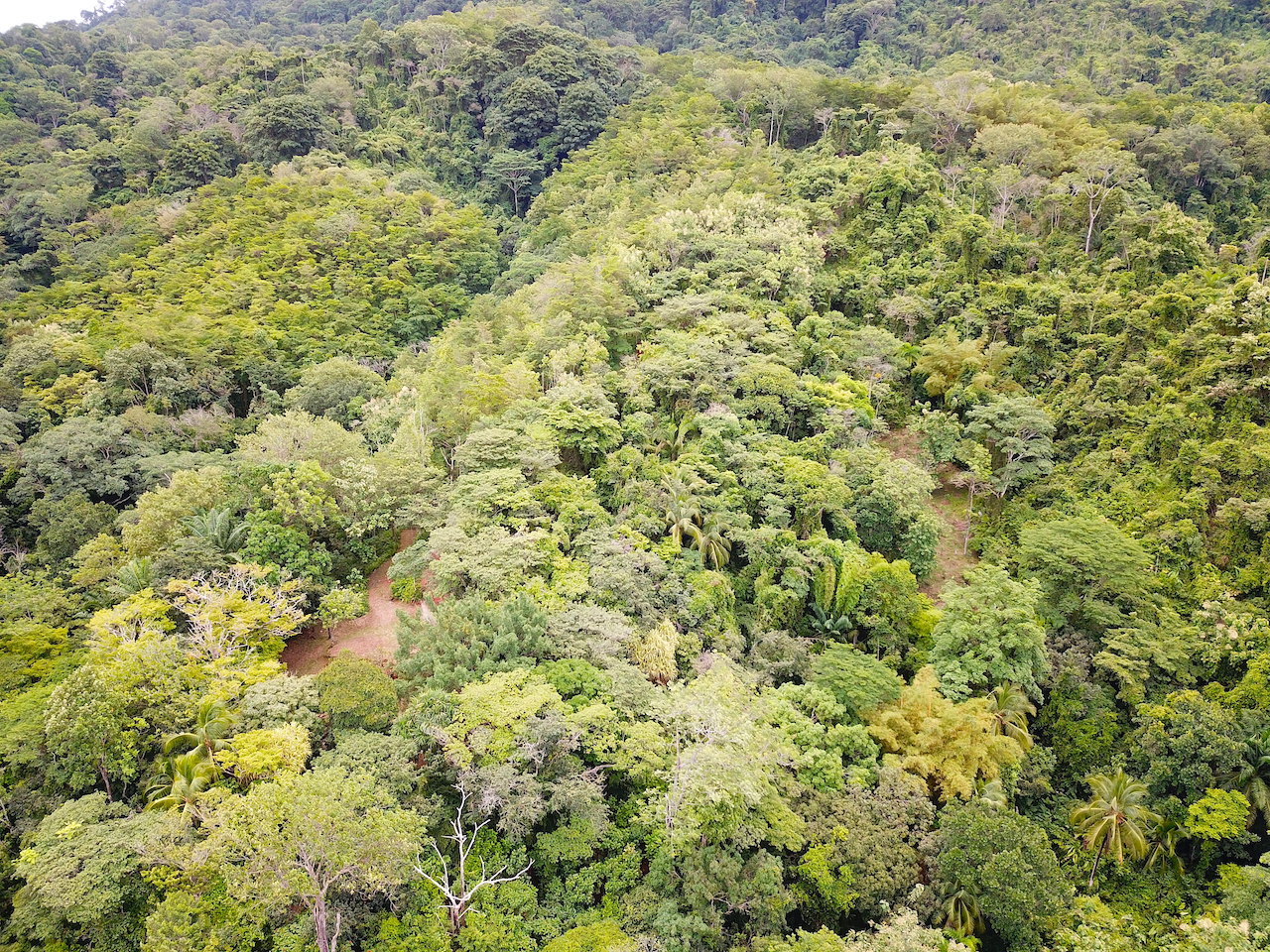 0 bed Land For Sale in Dominical, Puntarenas - thumb 15
