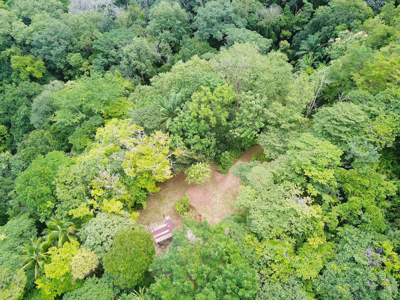 0 bed Land For Sale in Dominical, Puntarenas - thumb 17