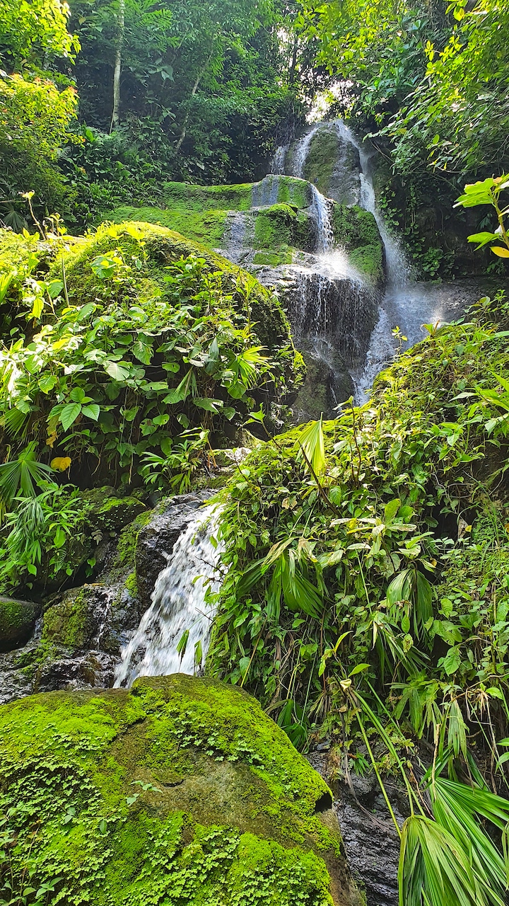 0 bed Land For Sale in Dominical, Puntarenas - thumb 3