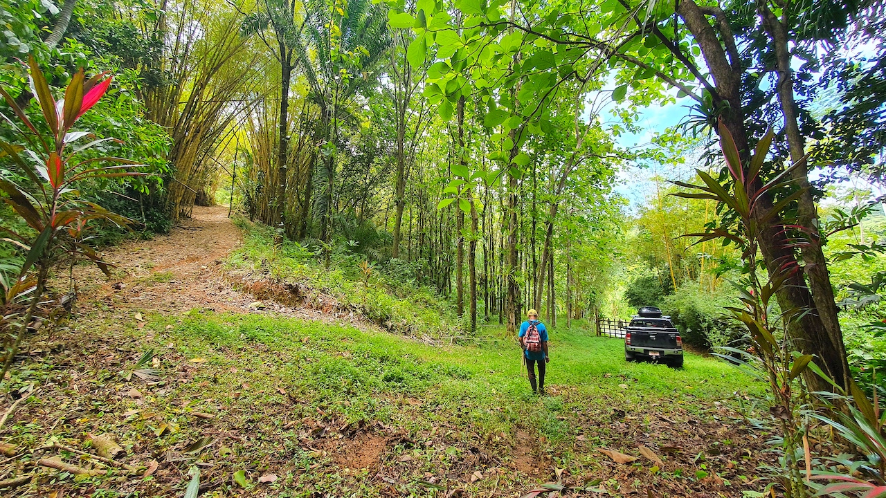 0 bed Land For Sale in Dominical, Puntarenas - thumb 7