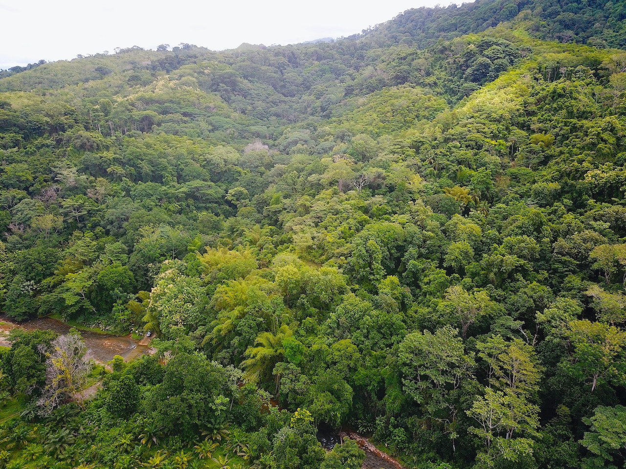0 bed Land For Sale in Dominical, Puntarenas - thumb 12