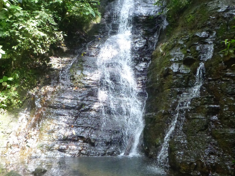 0 bed Land For Sale in Dominical, Puntarenas - 1