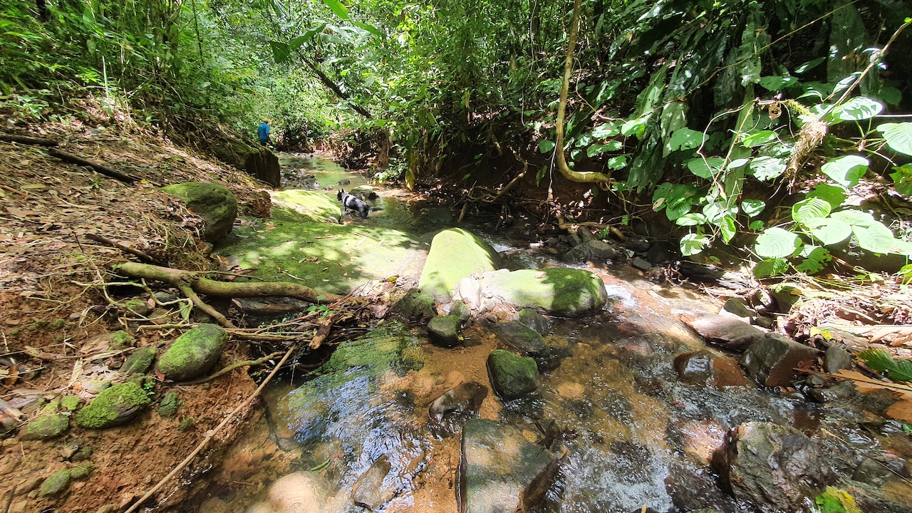 0 bed Land For Sale in Dominical, Puntarenas - thumb 5