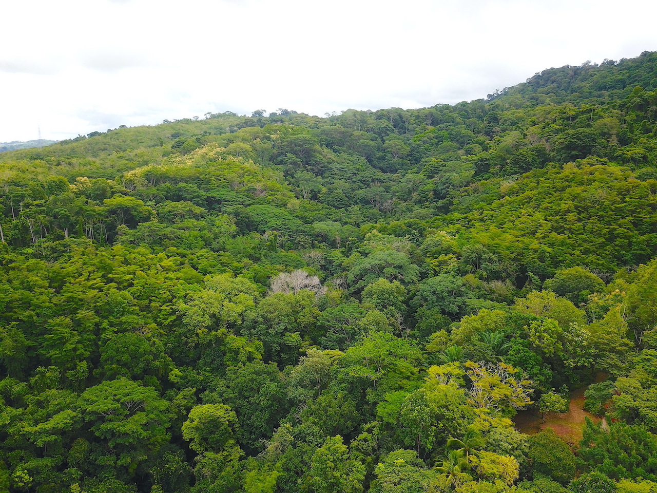 0 bed Land For Sale in Dominical, Puntarenas - thumb 13