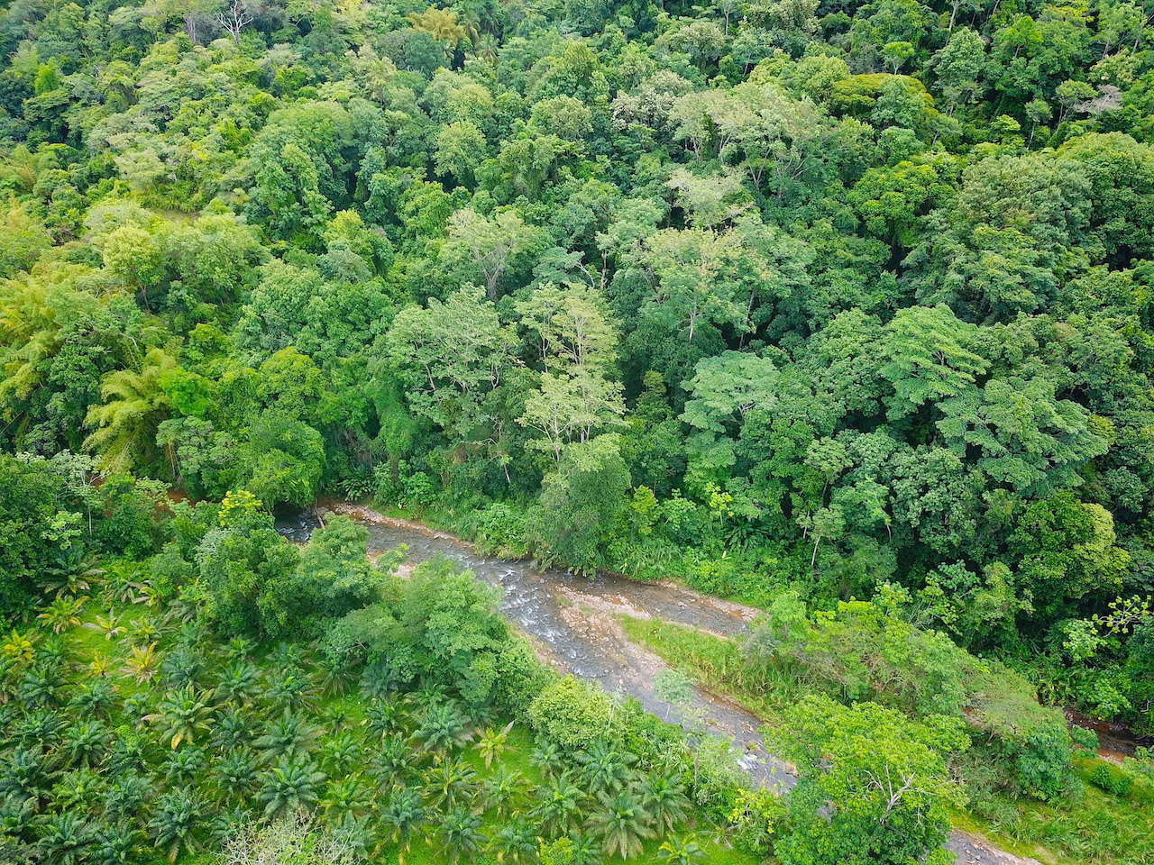 0 bed Land For Sale in Dominical, Puntarenas - thumb 19