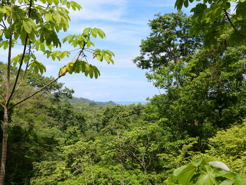 0 bed Land For Sale in Uvita, Puntarenas - 1