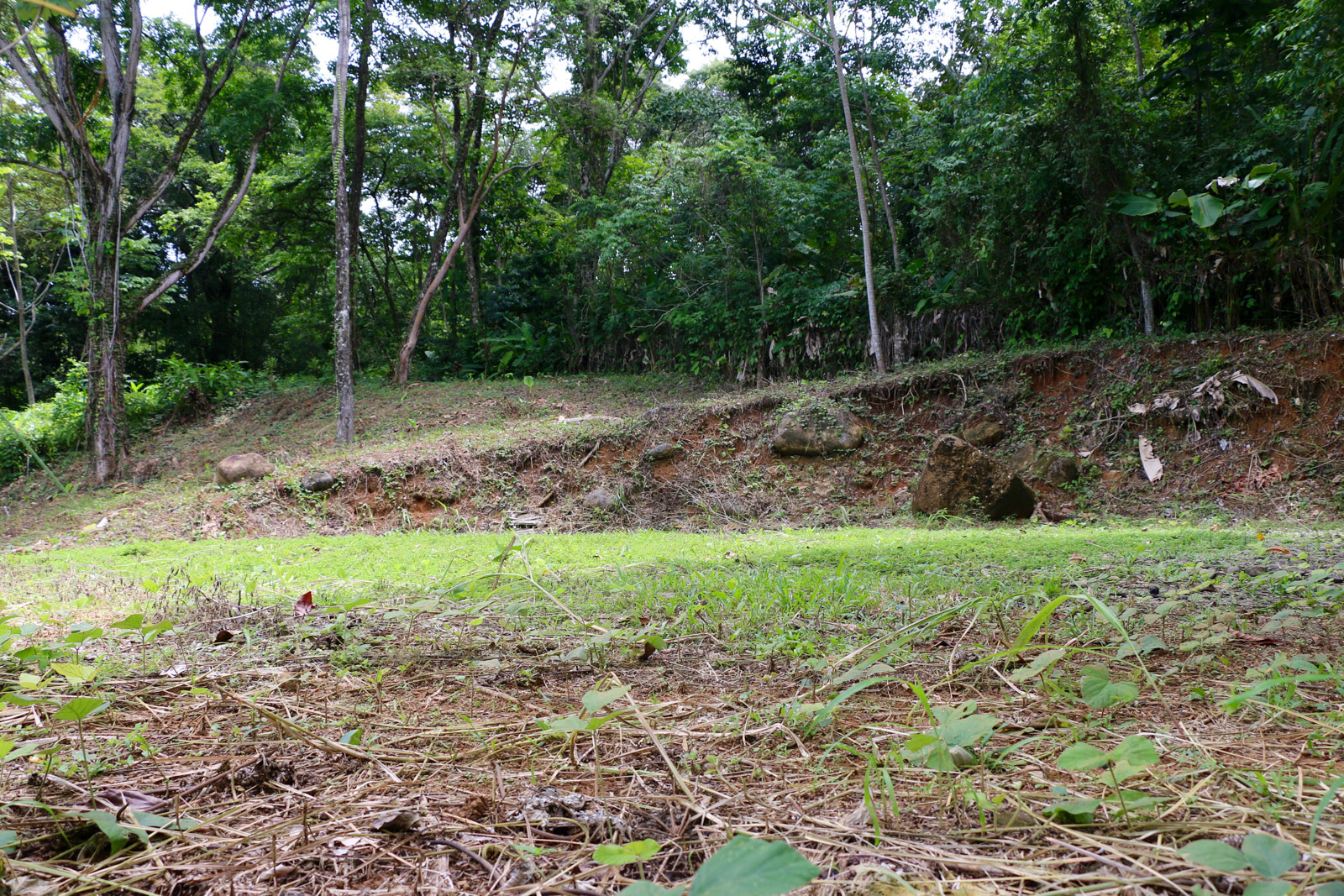 0 bed Land For Sale in Uvita, Puntarenas - thumb 18
