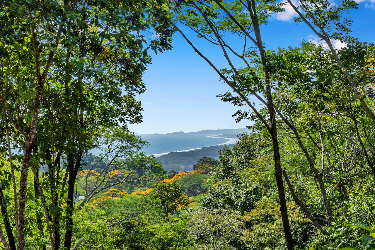 3 bed Single Family Homes For Sale in Dominical, Puntarenas - thumb 30