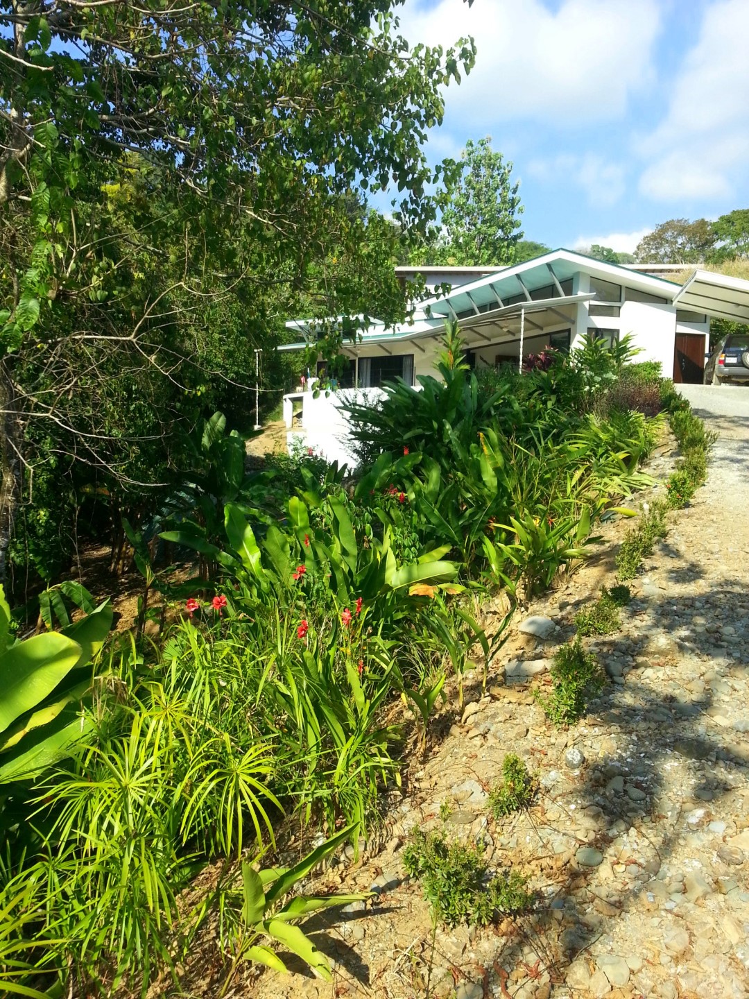 6 bed Hotel / Leisure For Sale in Uvita, Puntarenas - thumb 2