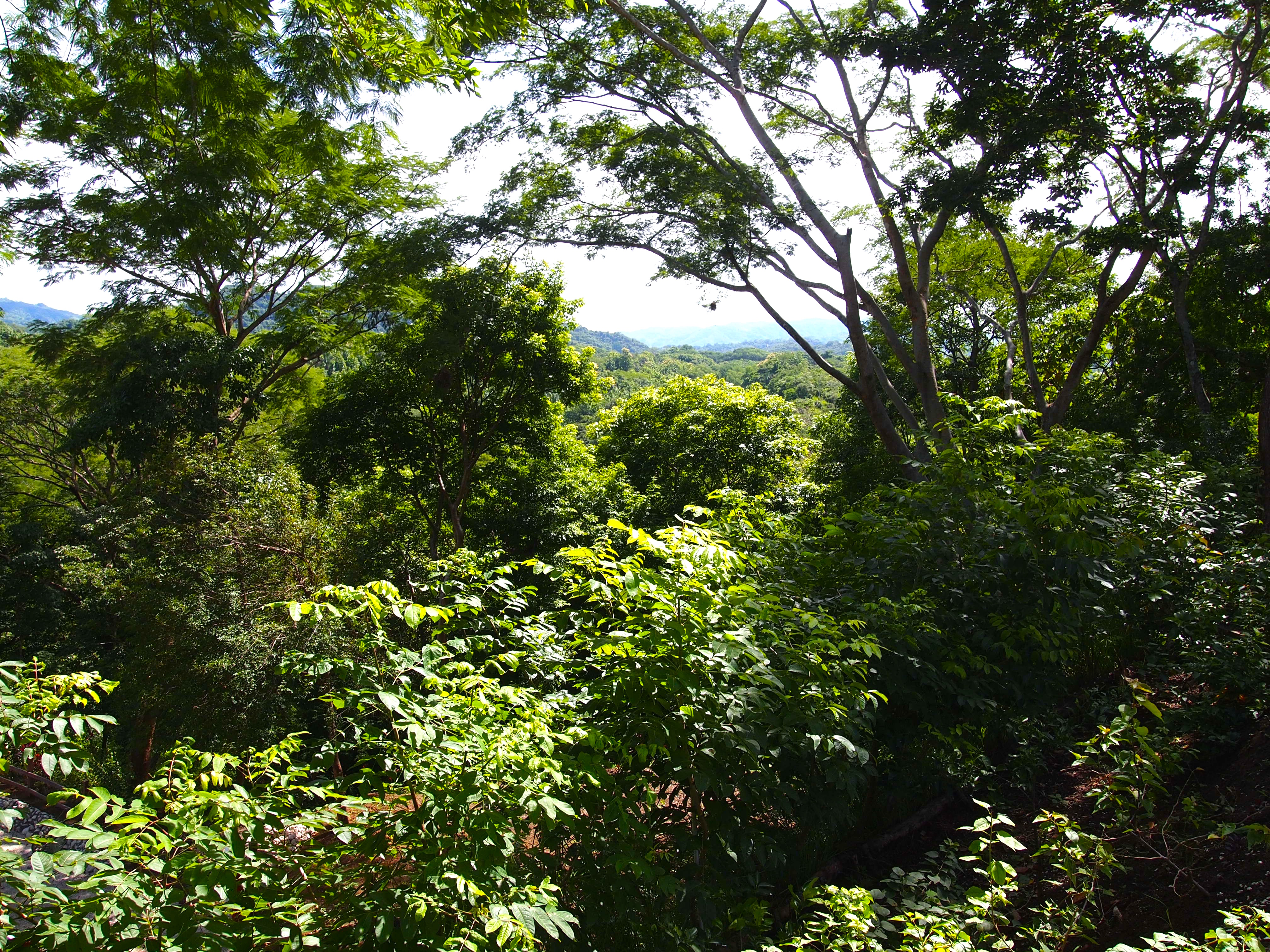4 bed Single Family Homes For Sale in Samara, Guanacaste - thumb 18
