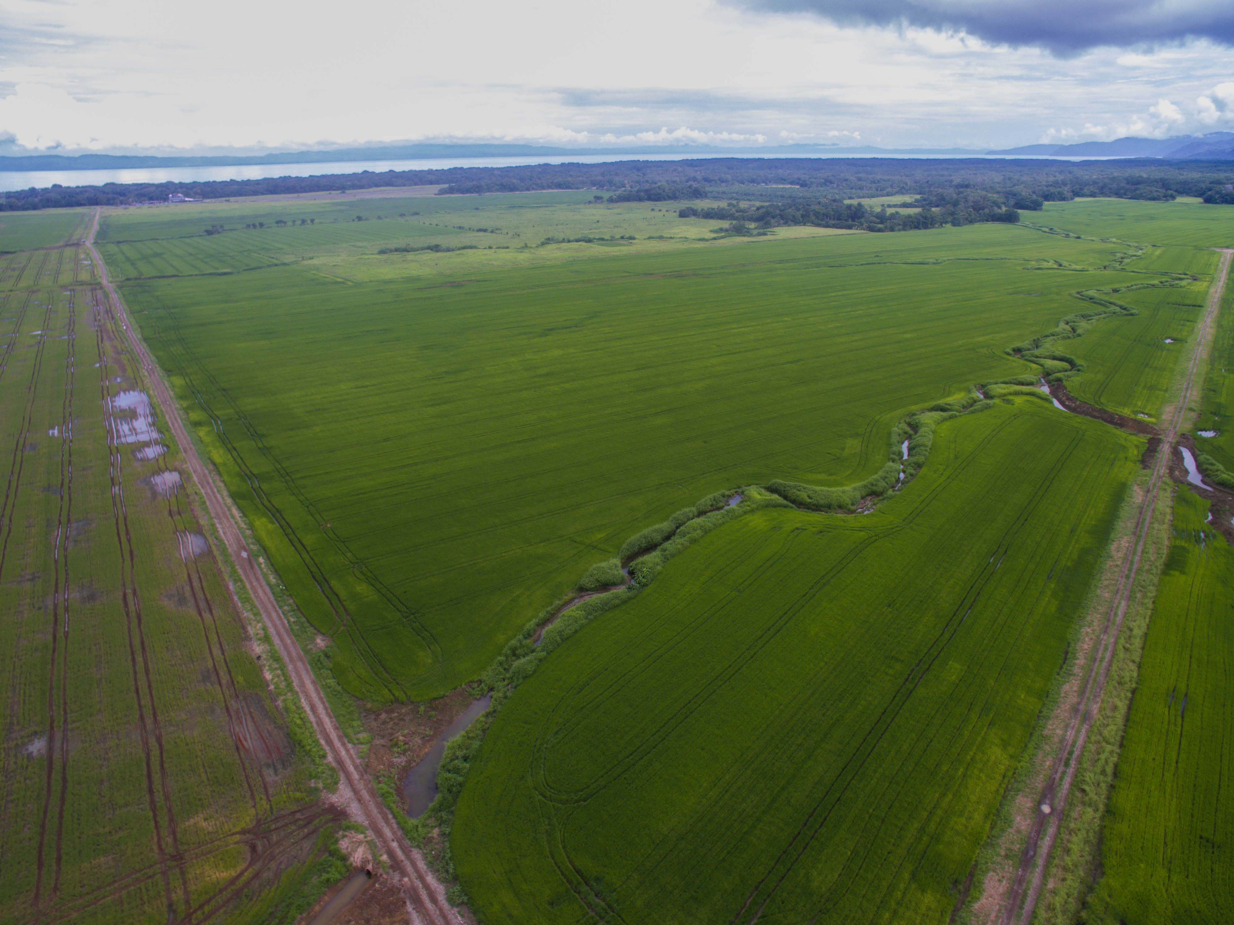 10 bed Land For Sale in Zancudo, Puntarenas - thumb 2