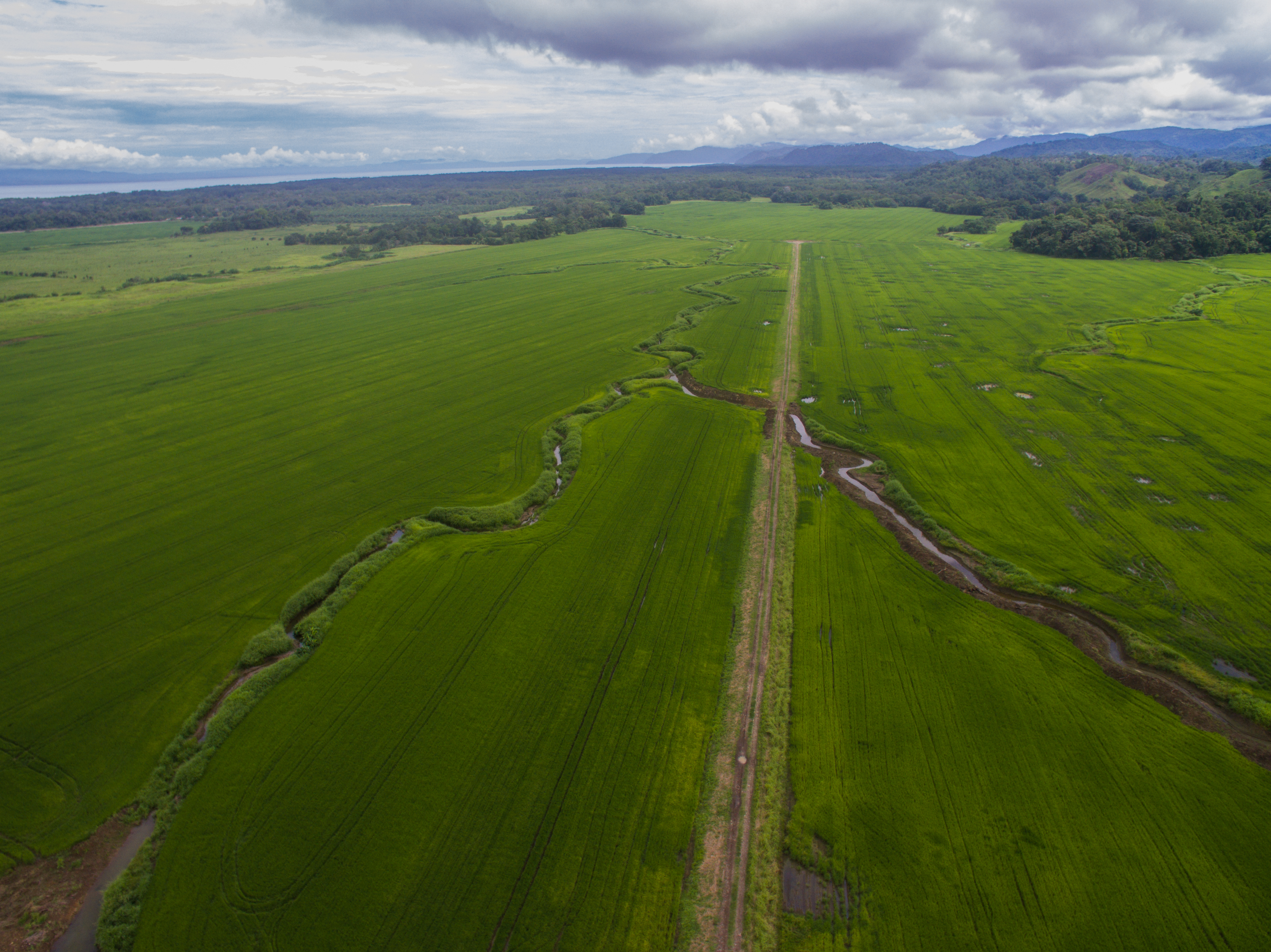 10 bed Land For Sale in Zancudo, Puntarenas - thumb 1