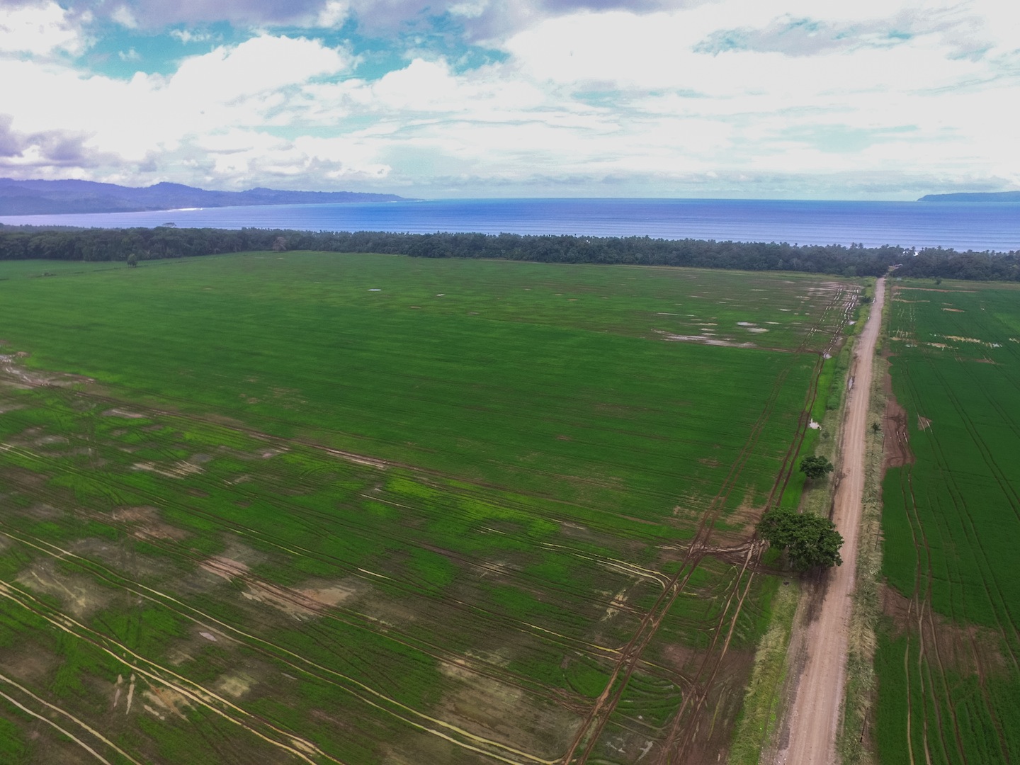 10 bed Land For Sale in Zancudo, Puntarenas - thumb 6