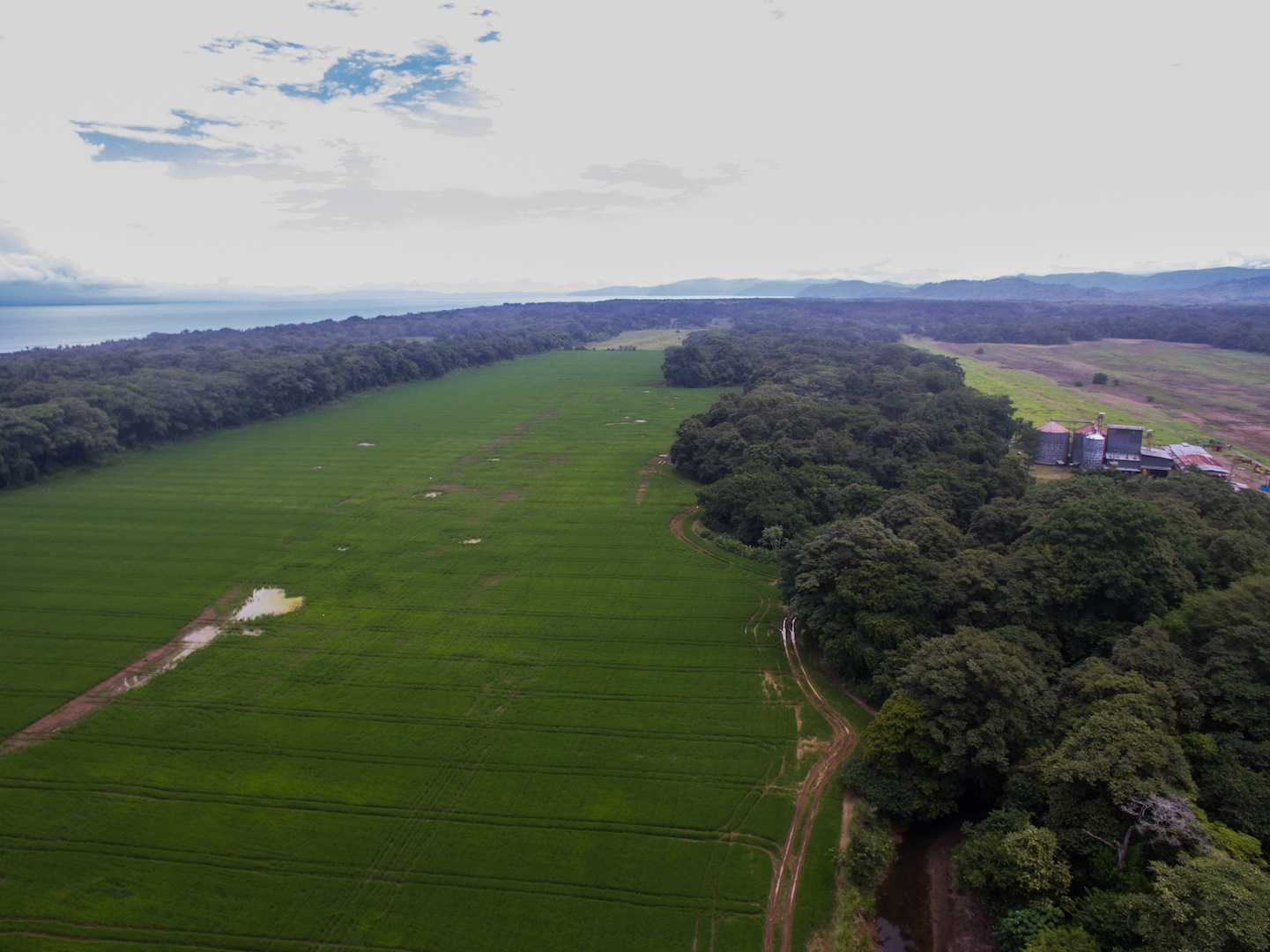 10 bed Land For Sale in Zancudo, Puntarenas - thumb 7