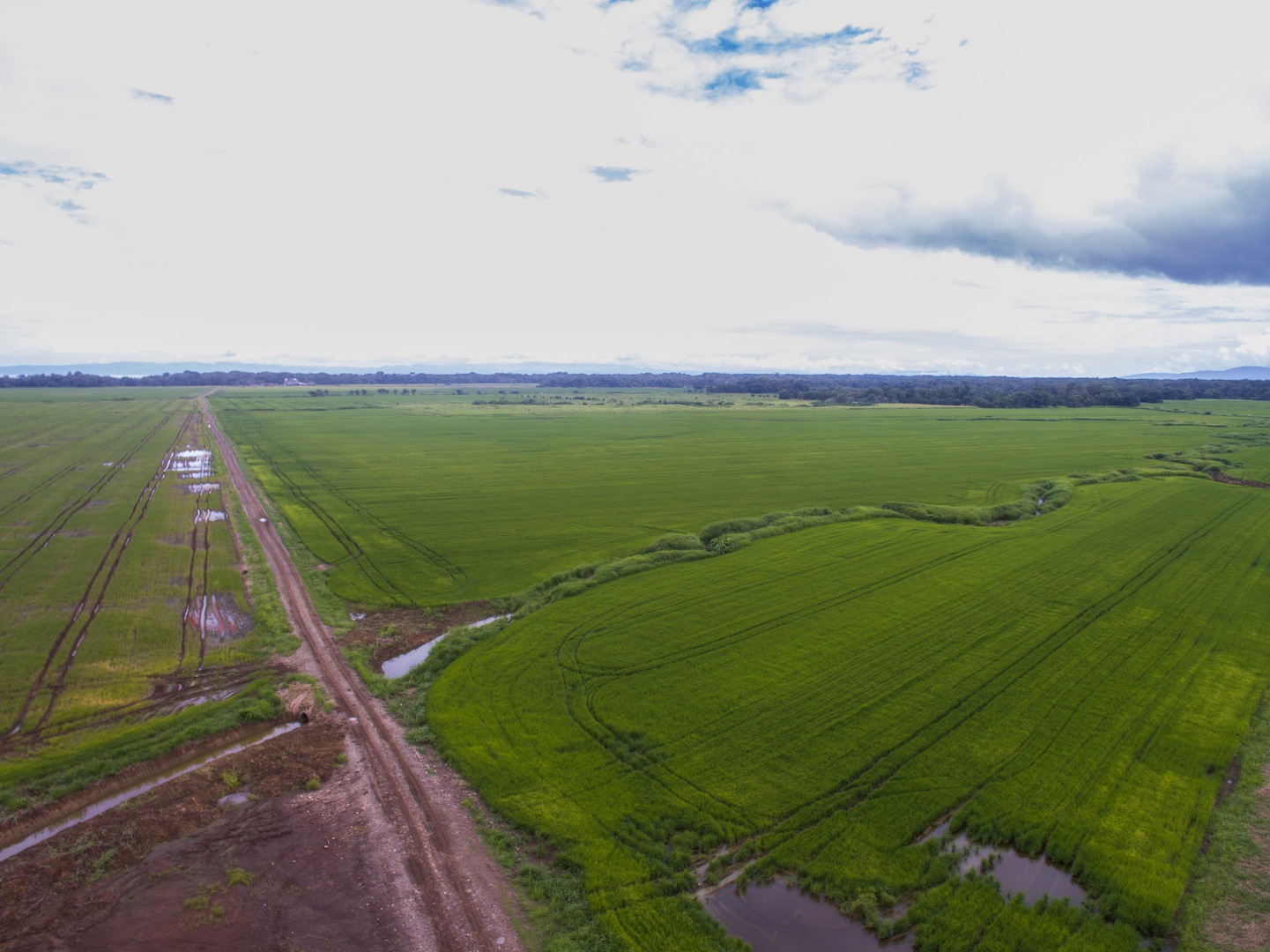 10 bed Land For Sale in Zancudo, Puntarenas - thumb 11