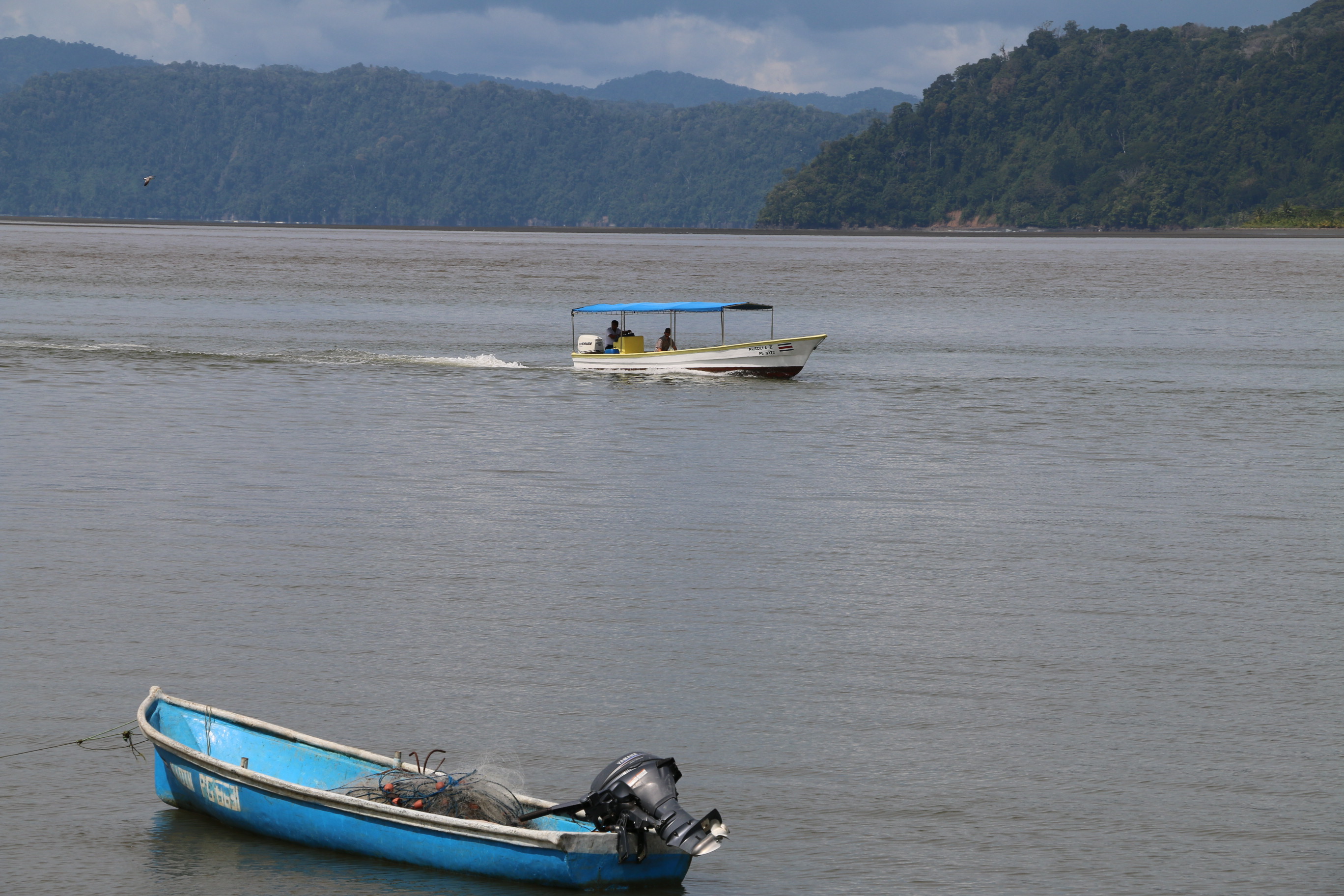 10 bed Land For Sale in Zancudo, Puntarenas - thumb 8