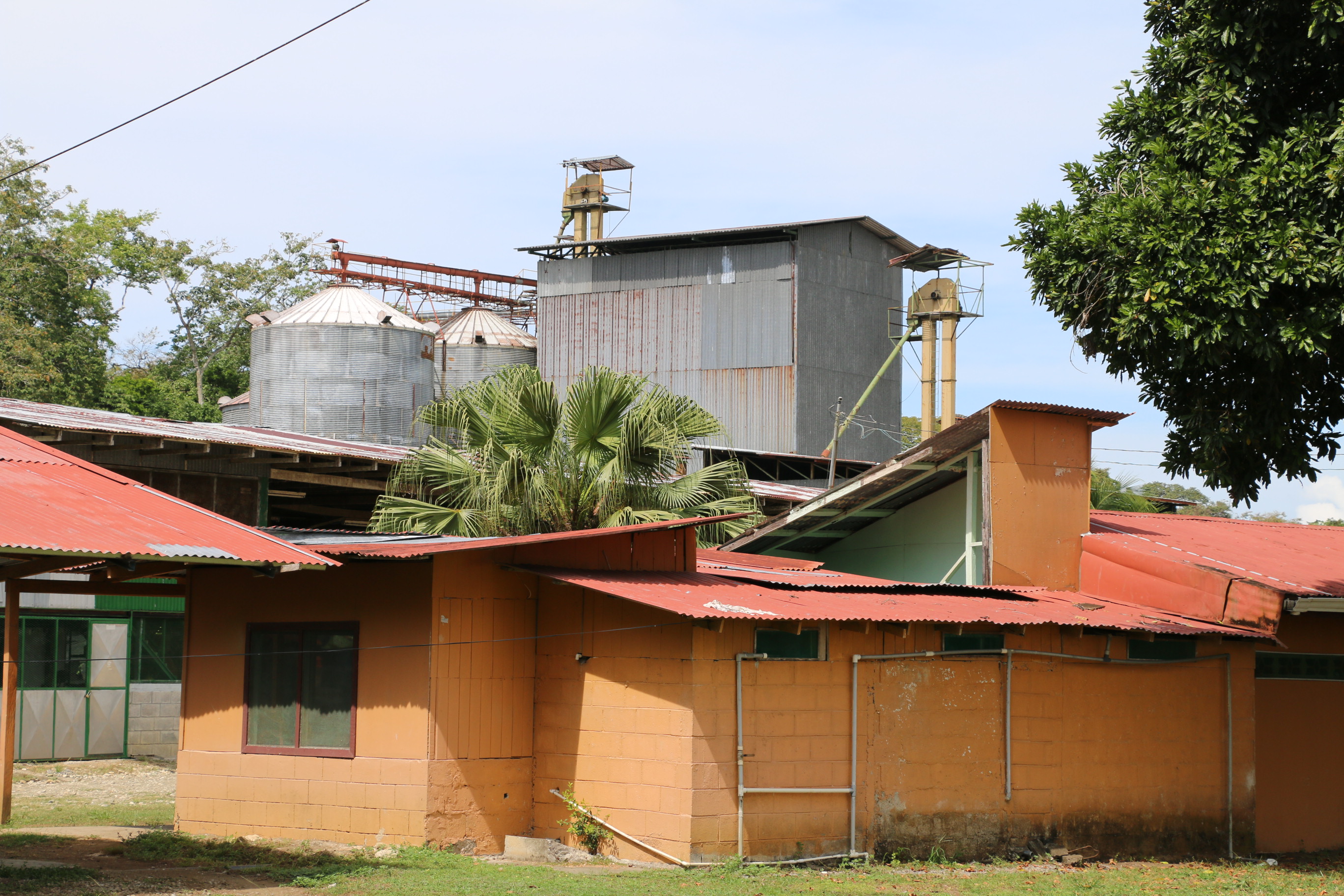 10 bed Land For Sale in Zancudo, Puntarenas - thumb 4