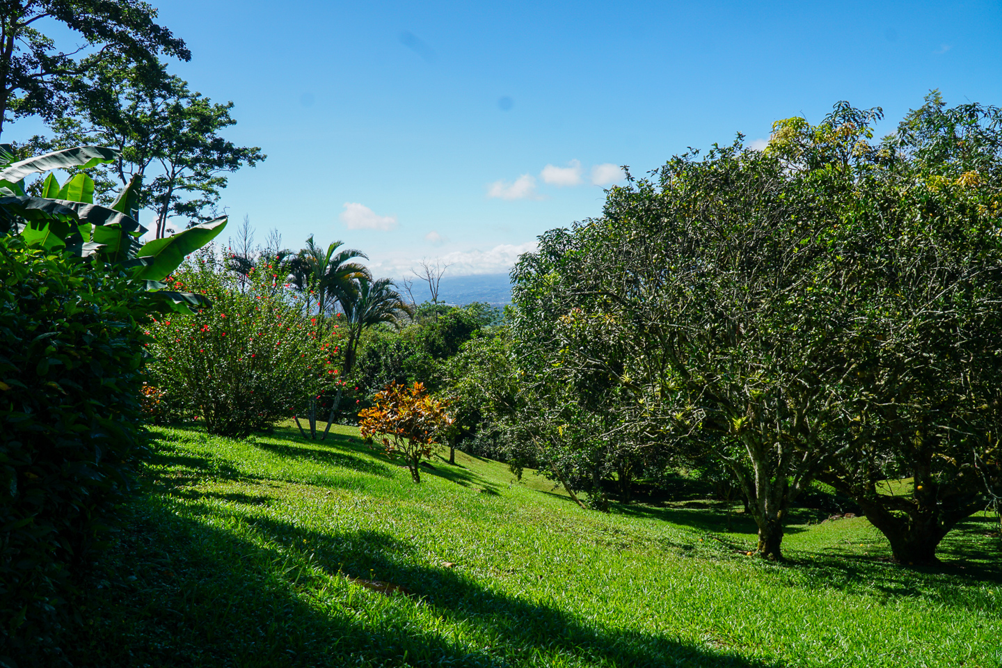 3 bed Single Family Homes For Sale in Perez Zeledon, Puntarenas - thumb 20