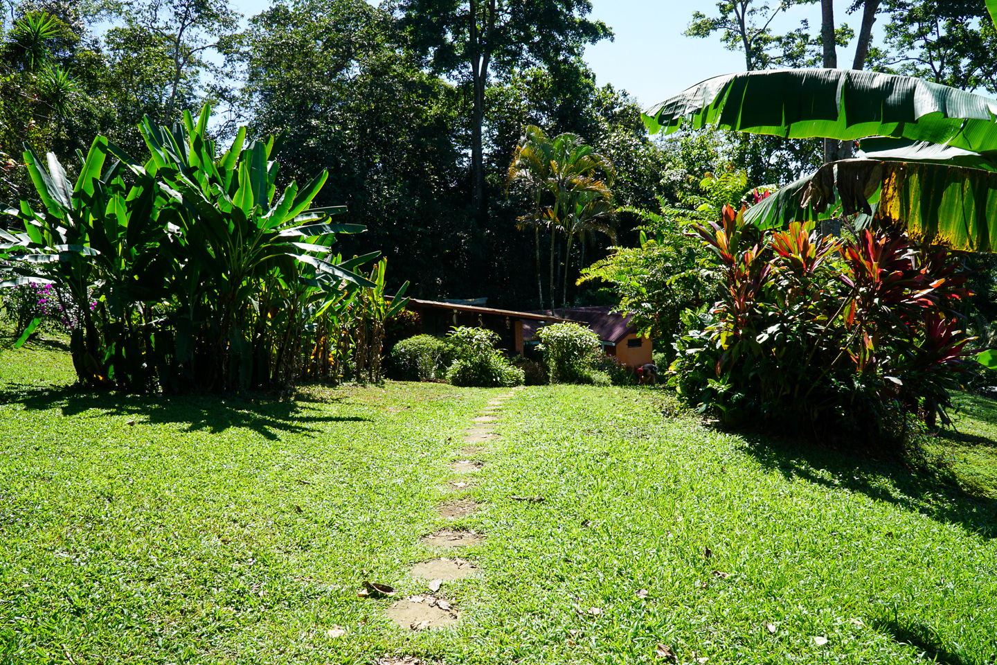3 bed Single Family Homes For Sale in Perez Zeledon, Puntarenas - thumb 21