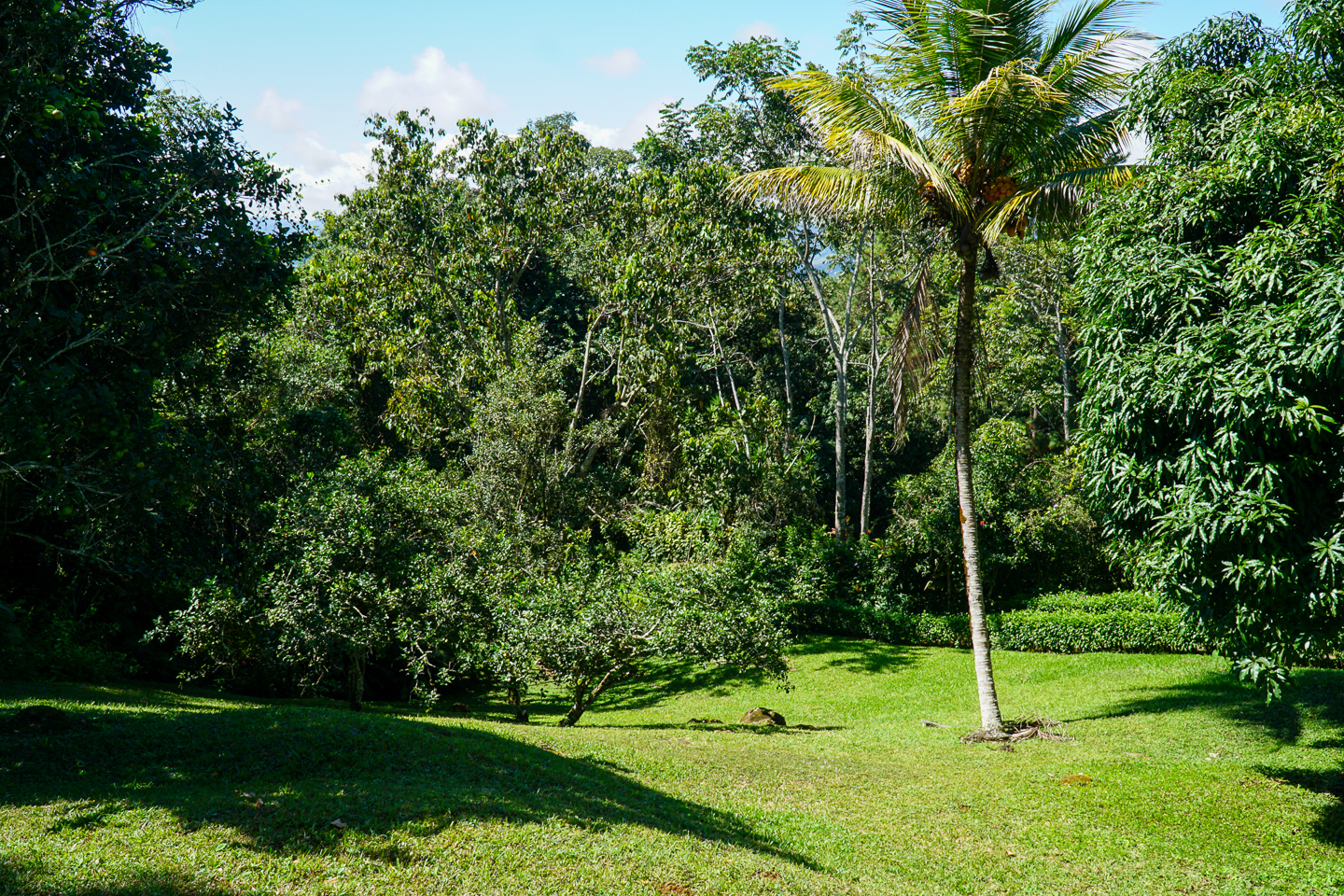 3 bed Single Family Homes For Sale in Perez Zeledon, Puntarenas - thumb 22