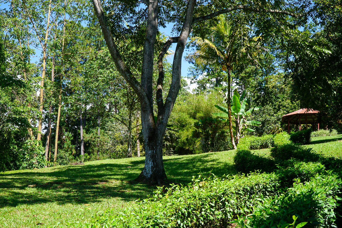 3 bed Single Family Homes For Sale in Perez Zeledon, Puntarenas - thumb 30