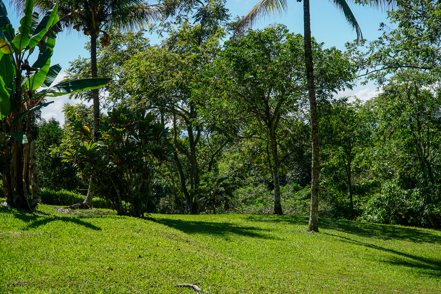 3 bed Single Family Homes For Sale in Perez Zeledon, Puntarenas - thumb 28