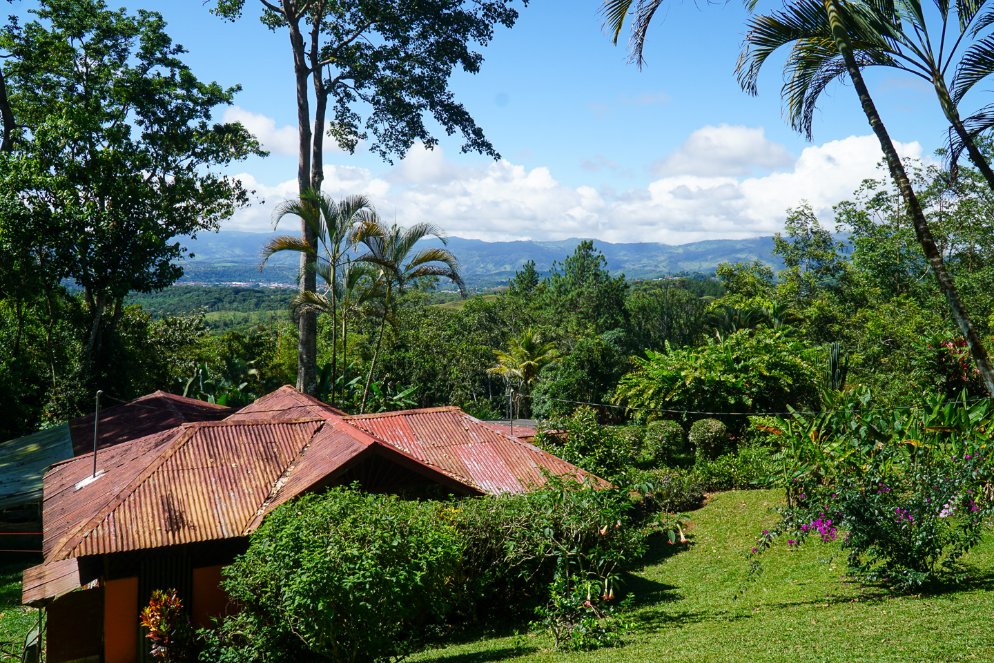 3 bed Single Family Homes For Sale in Perez Zeledon, Puntarenas - thumb 19