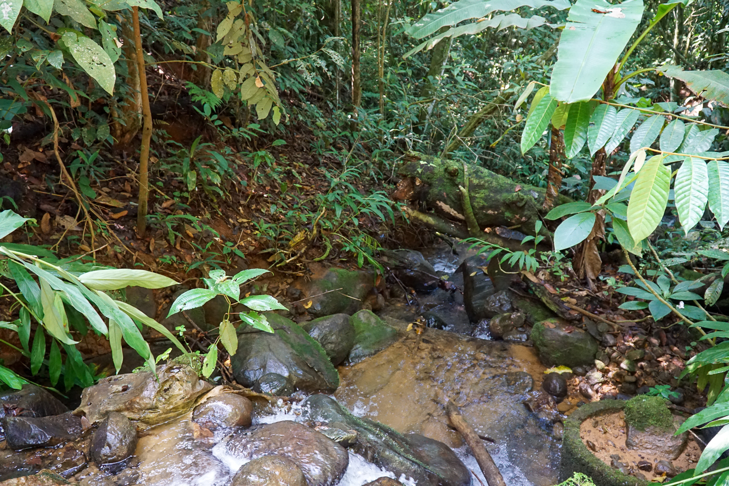 3 bed Single Family Homes For Sale in Perez Zeledon, Puntarenas - thumb 24