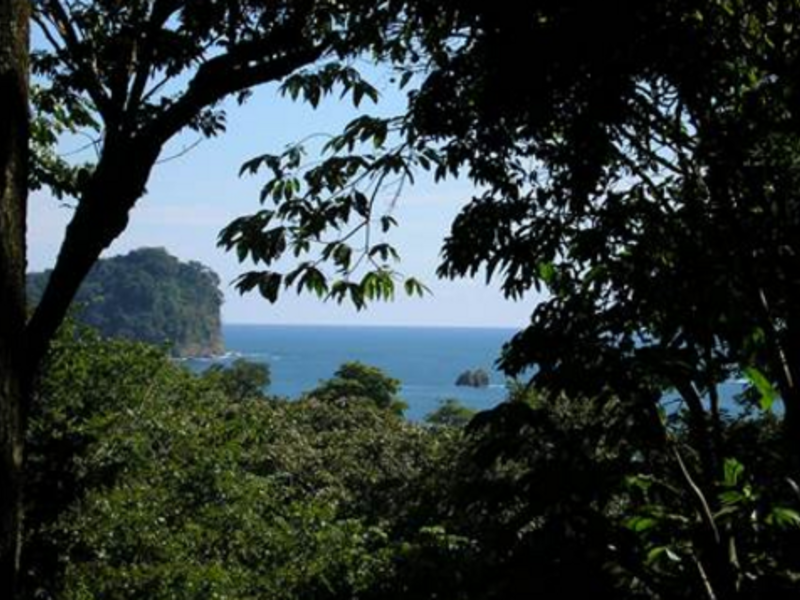 0 bed Land For Sale in Manuel Antonio, Puntarenas - 1