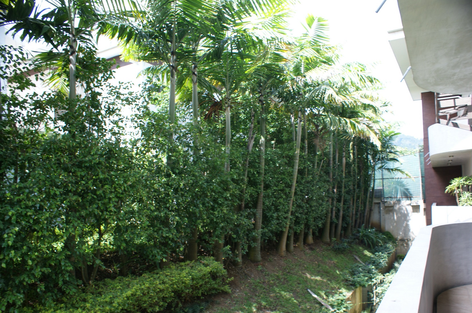 2 bed Apartment For Sale in Escazu, San Jose - thumb 9