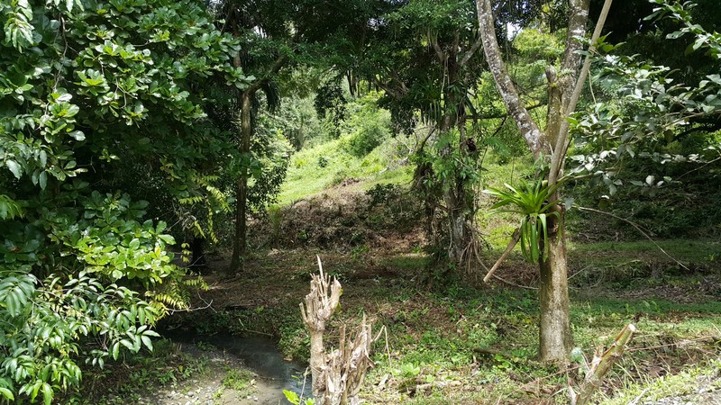 0 bed Land For Sale in Manuel Antonio, Puntarenas - thumb 4