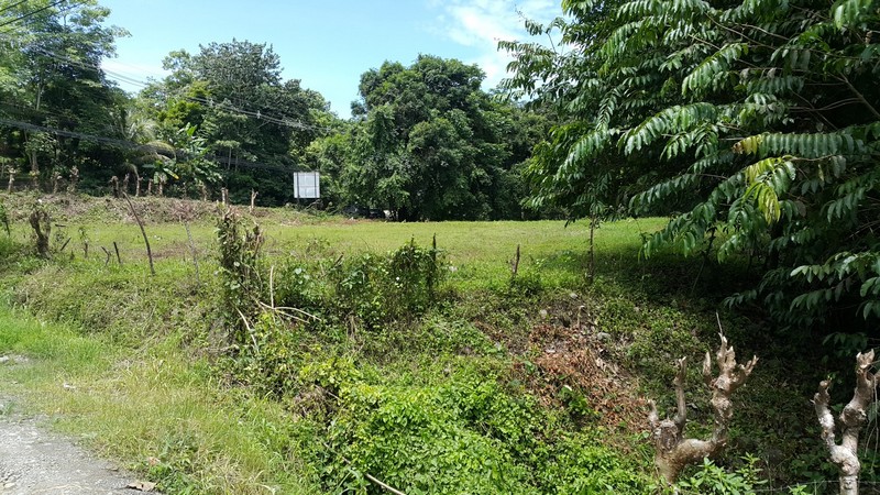 0 bed Land For Sale in Manuel Antonio, Puntarenas - thumb 5
