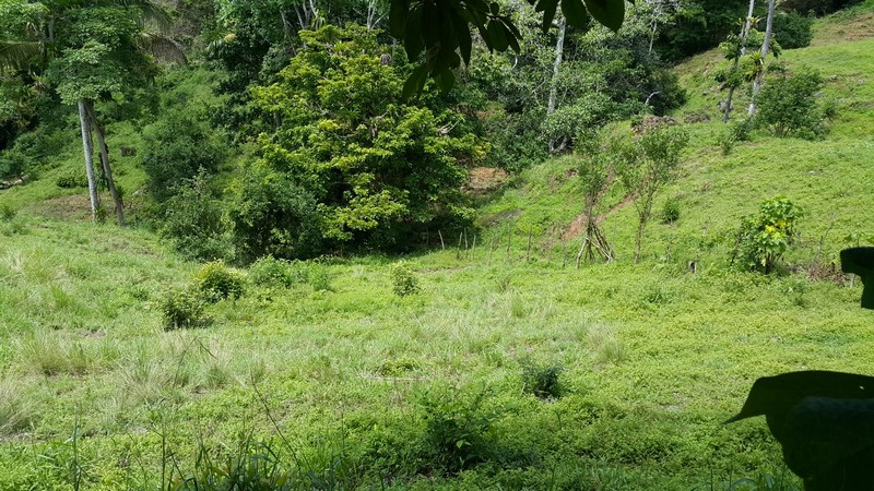 0 bed Land For Sale in Manuel Antonio, Puntarenas - thumb 6