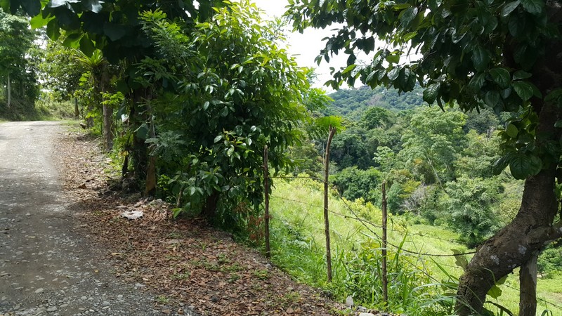 0 bed Land For Sale in Manuel Antonio, Puntarenas - thumb 7