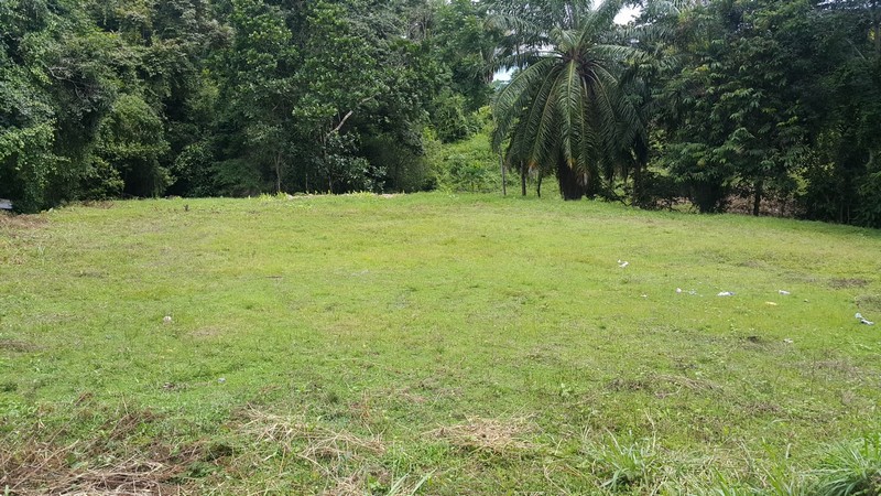 0 bed Land For Sale in Manuel Antonio, Puntarenas - thumb 3