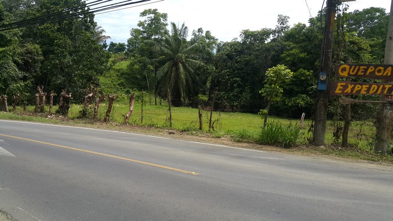 0 bed Land For Sale in Manuel Antonio, Puntarenas - thumb 12