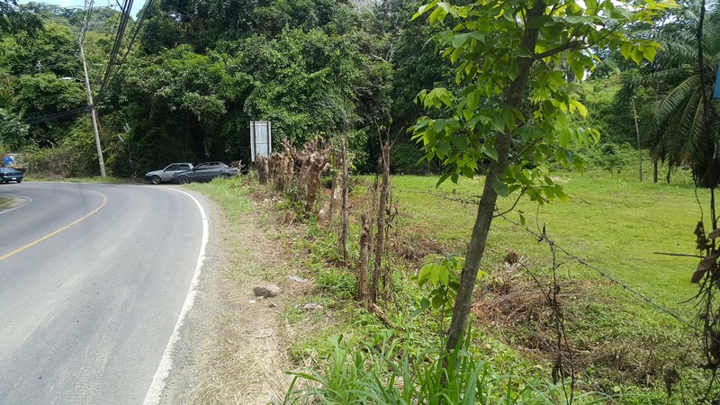 0 bed Land For Sale in Manuel Antonio, Puntarenas - thumb 9