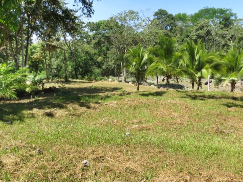 0 bed Land For Sale in Uvita, Puntarenas - 1