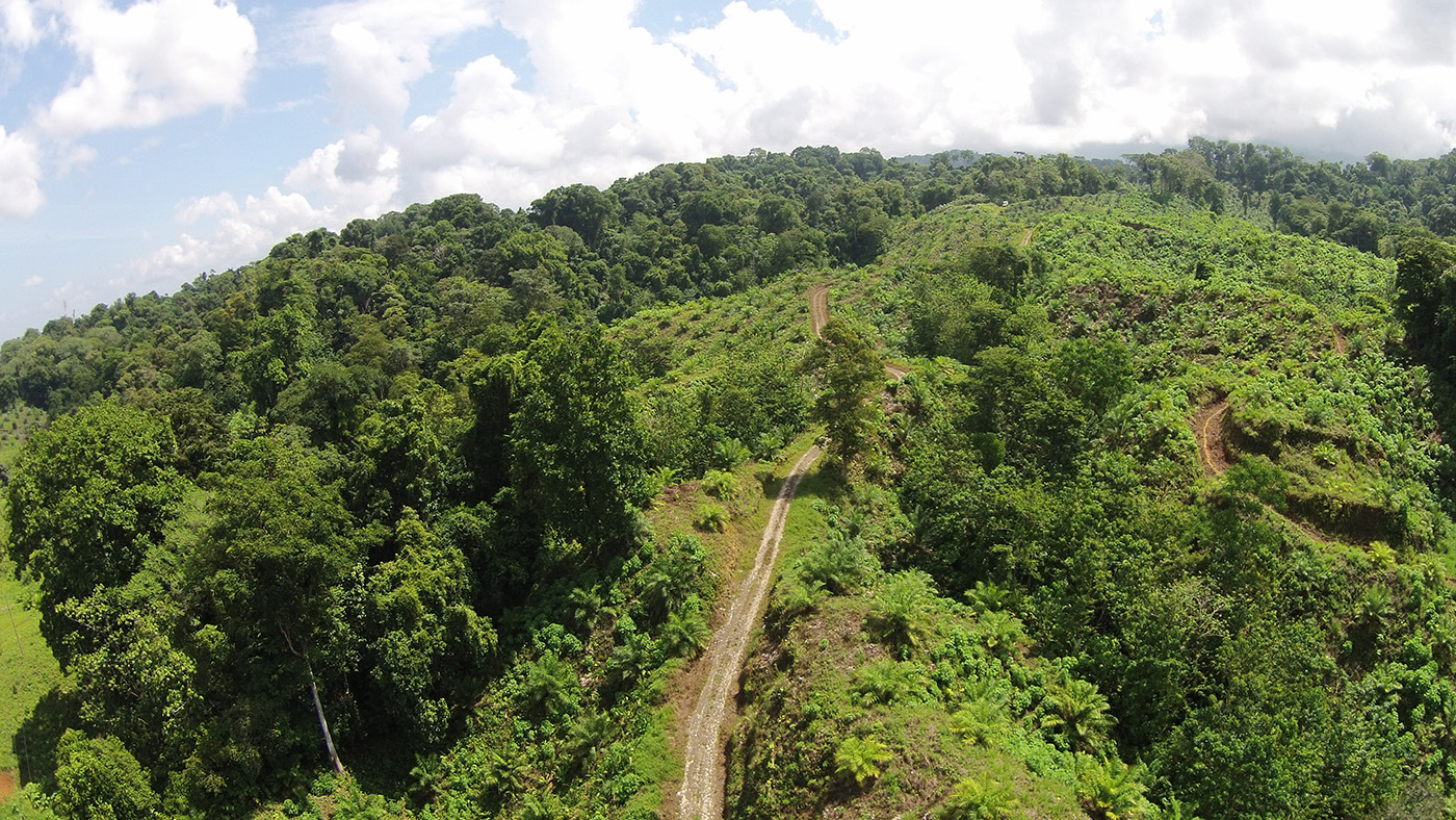 0 bed Land For Sale in Palmar, Puntarenas - thumb 1