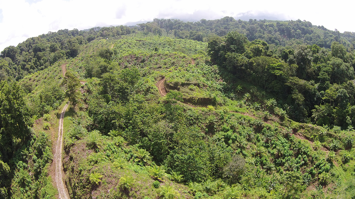 0 bed Land For Sale in Palmar, Puntarenas - thumb 2