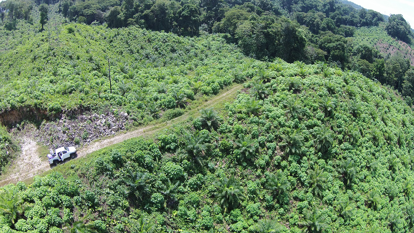 0 bed Land For Sale in Palmar, Puntarenas - thumb 4