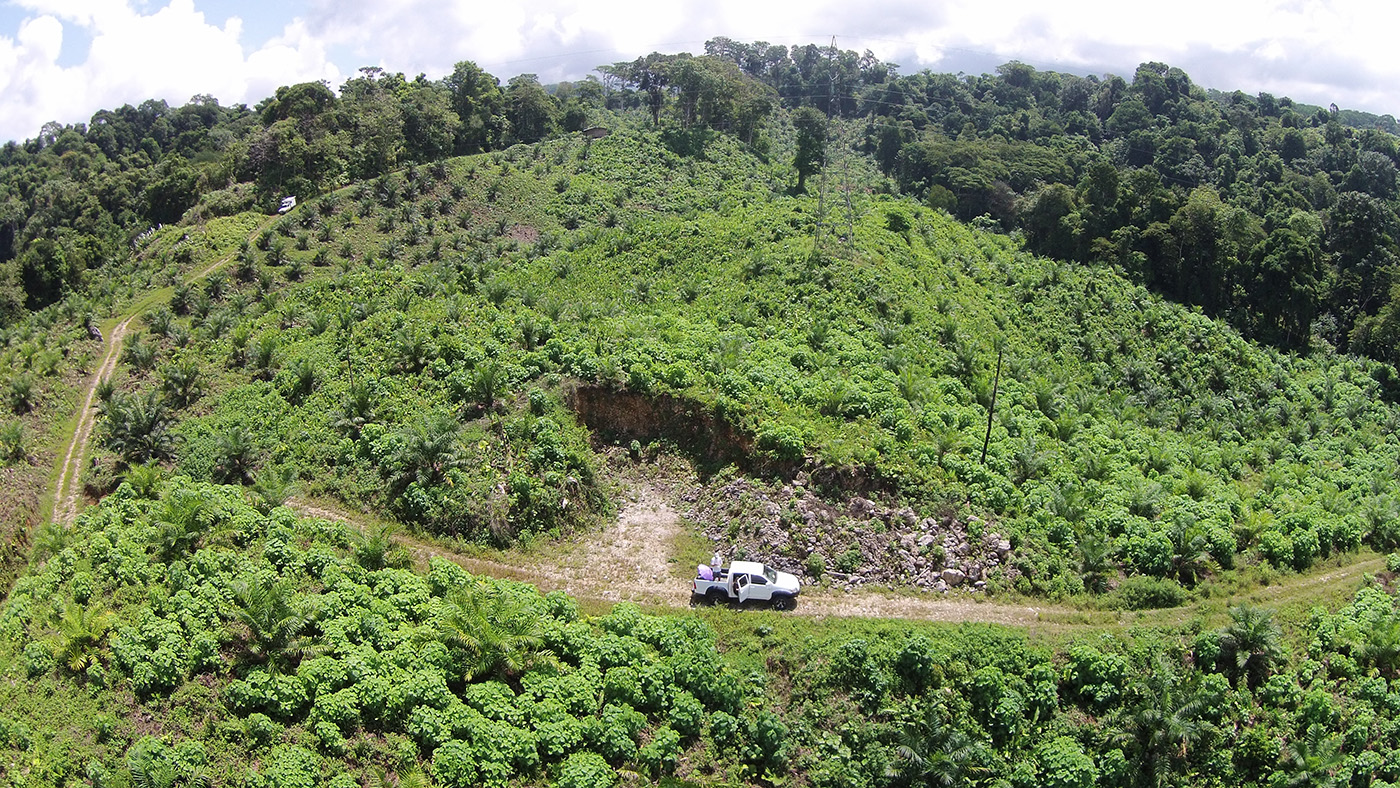 0 bed Land For Sale in Palmar, Puntarenas - thumb 5