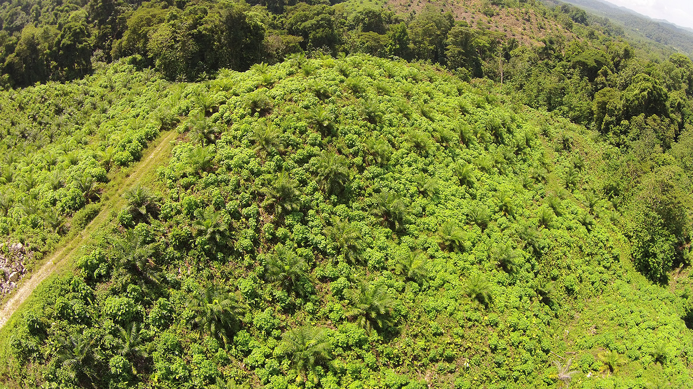 0 bed Land For Sale in Palmar, Puntarenas - thumb 6