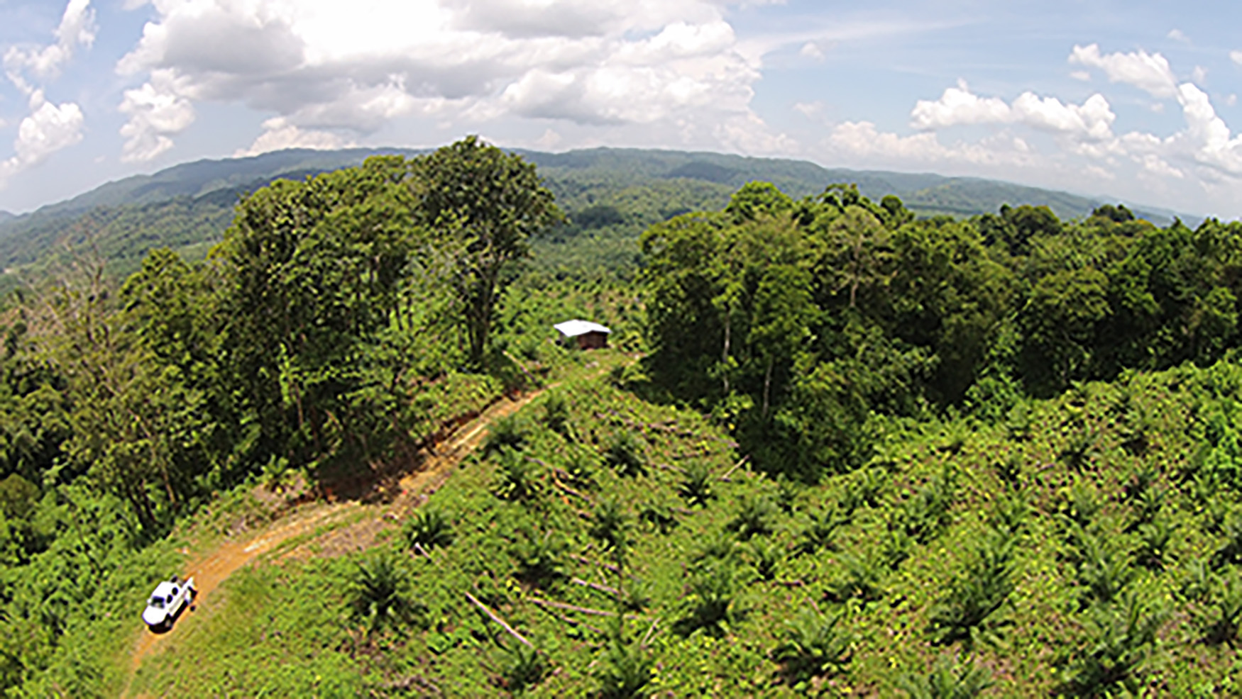 0 bed Land For Sale in Palmar, Puntarenas - thumb 8