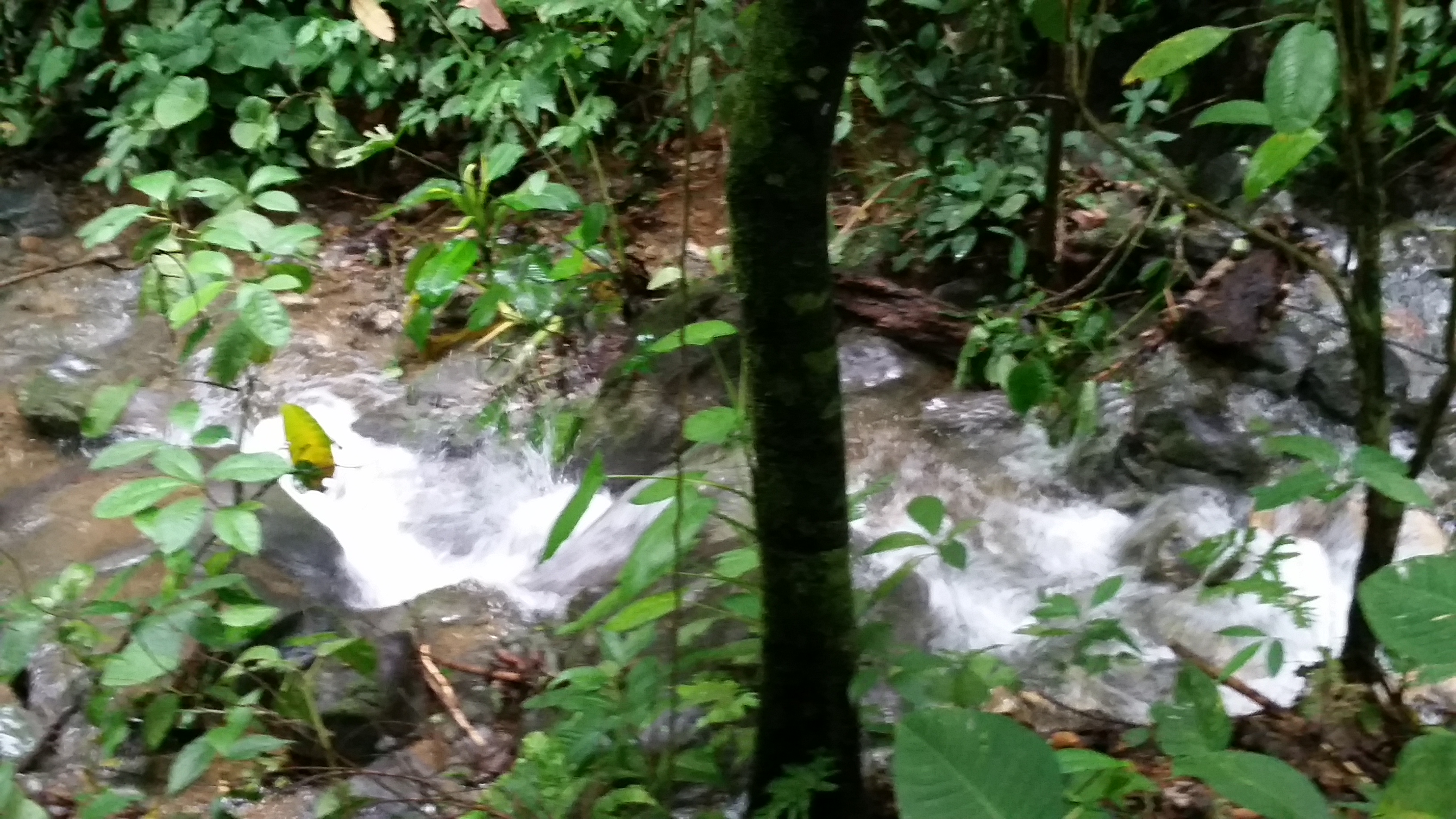 0 bed Land For Sale in Palmar, Puntarenas - thumb 9