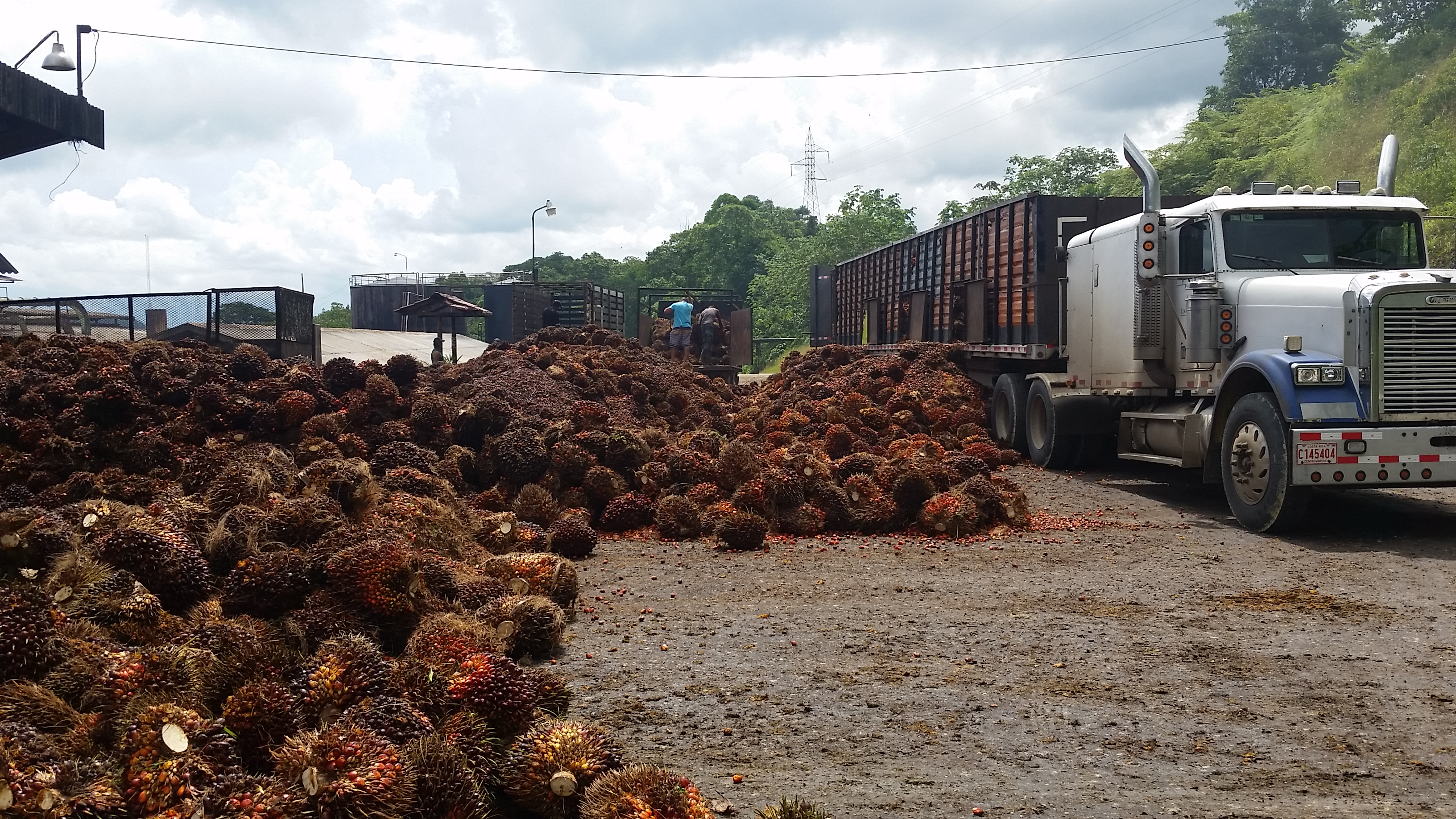 0 bed Land For Sale in Palmar, Puntarenas - thumb 12