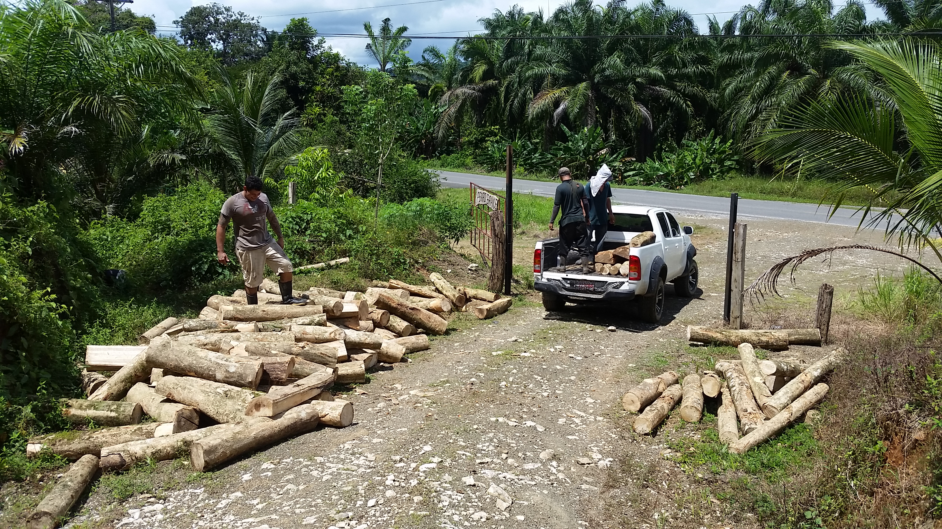 0 bed Land For Sale in Palmar, Puntarenas - thumb 16